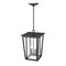Z-Lite Seoul 2 Light Outdoor Chain Mount Ceiling Fixture, Oil Rubbed Bronze & Clear 571CHB-ORB - alternate 4